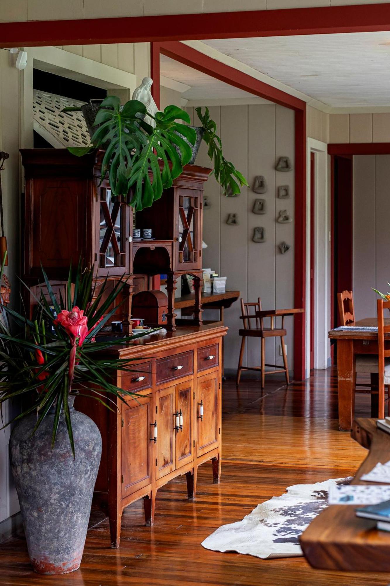 图里亚尔瓦Aquiares Coffee Farm Casa Hacienda La Esperanza住宿加早餐旅馆 外观 照片