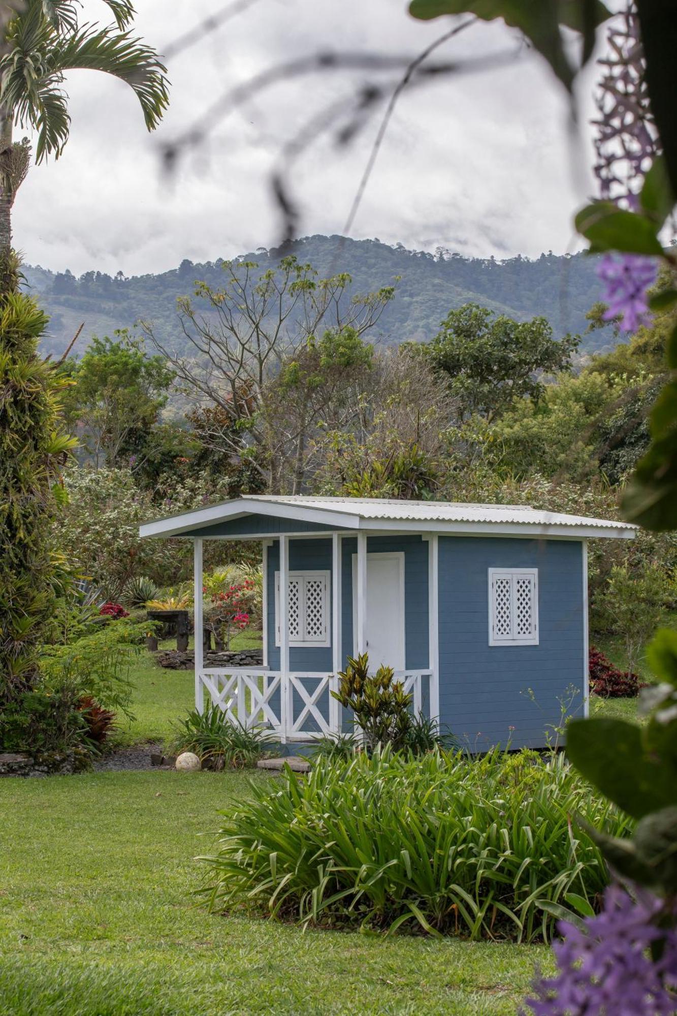 图里亚尔瓦Aquiares Coffee Farm Casa Hacienda La Esperanza住宿加早餐旅馆 外观 照片