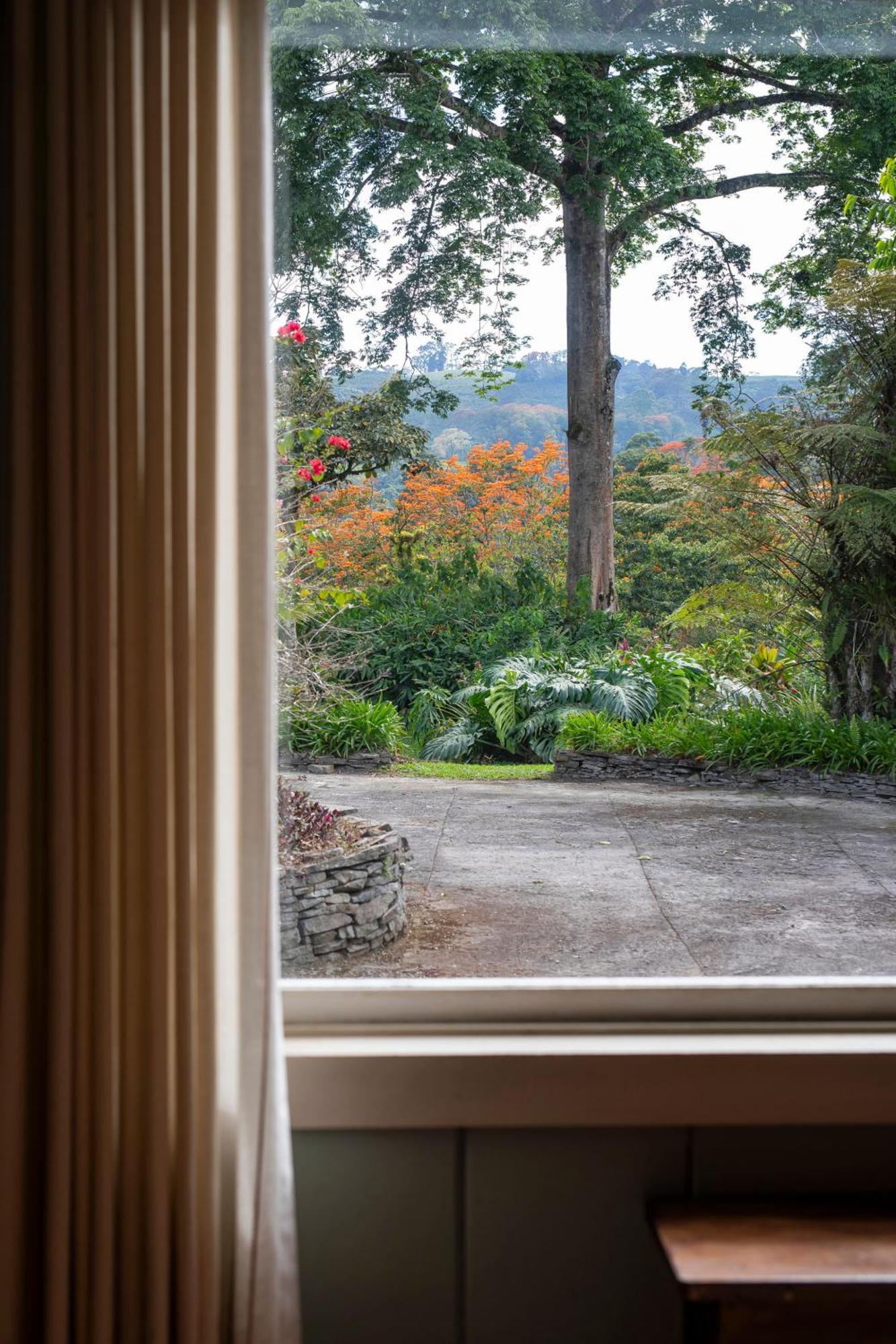 图里亚尔瓦Aquiares Coffee Farm Casa Hacienda La Esperanza住宿加早餐旅馆 外观 照片