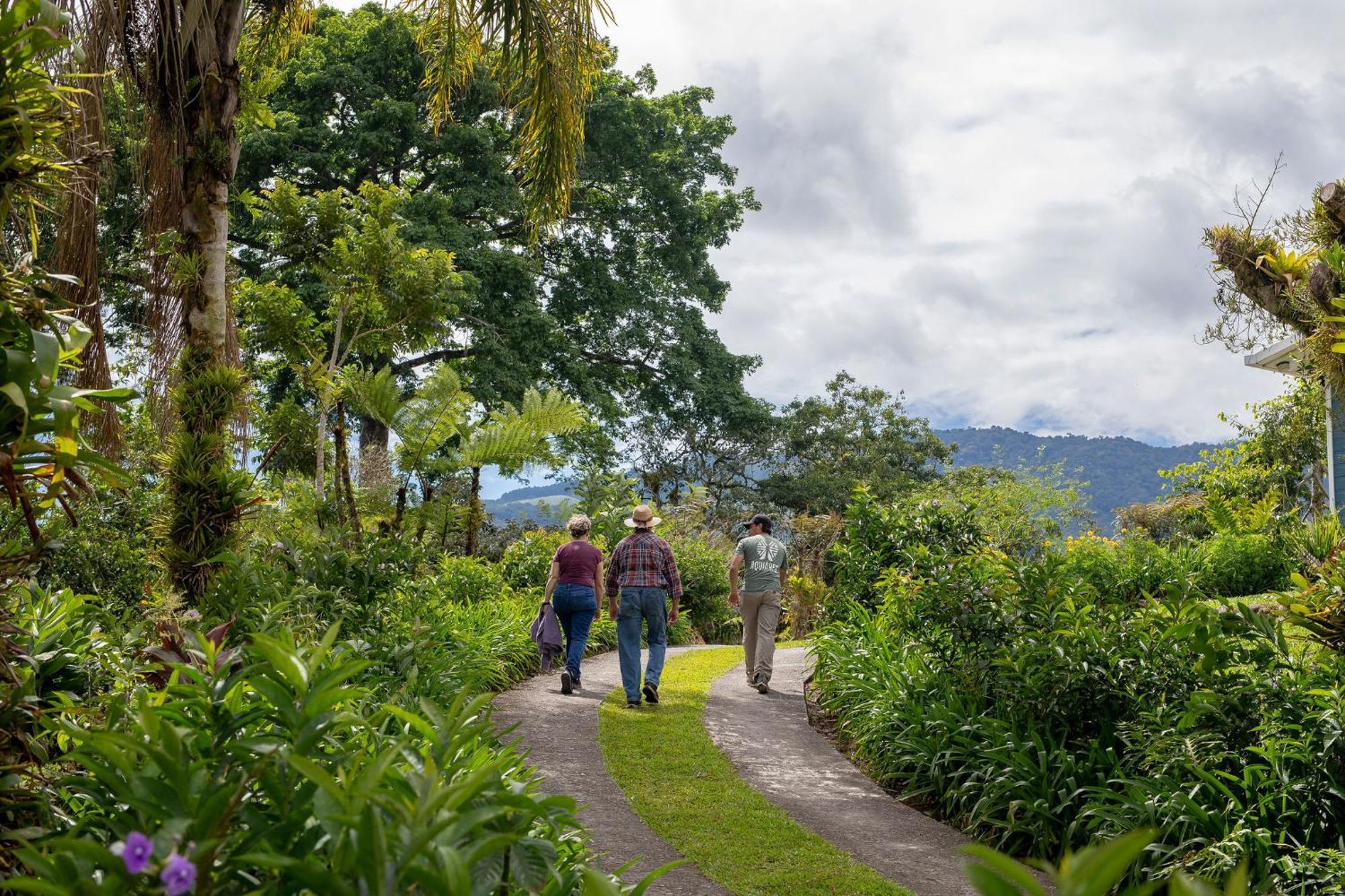 图里亚尔瓦Aquiares Coffee Farm Casa Hacienda La Esperanza住宿加早餐旅馆 外观 照片