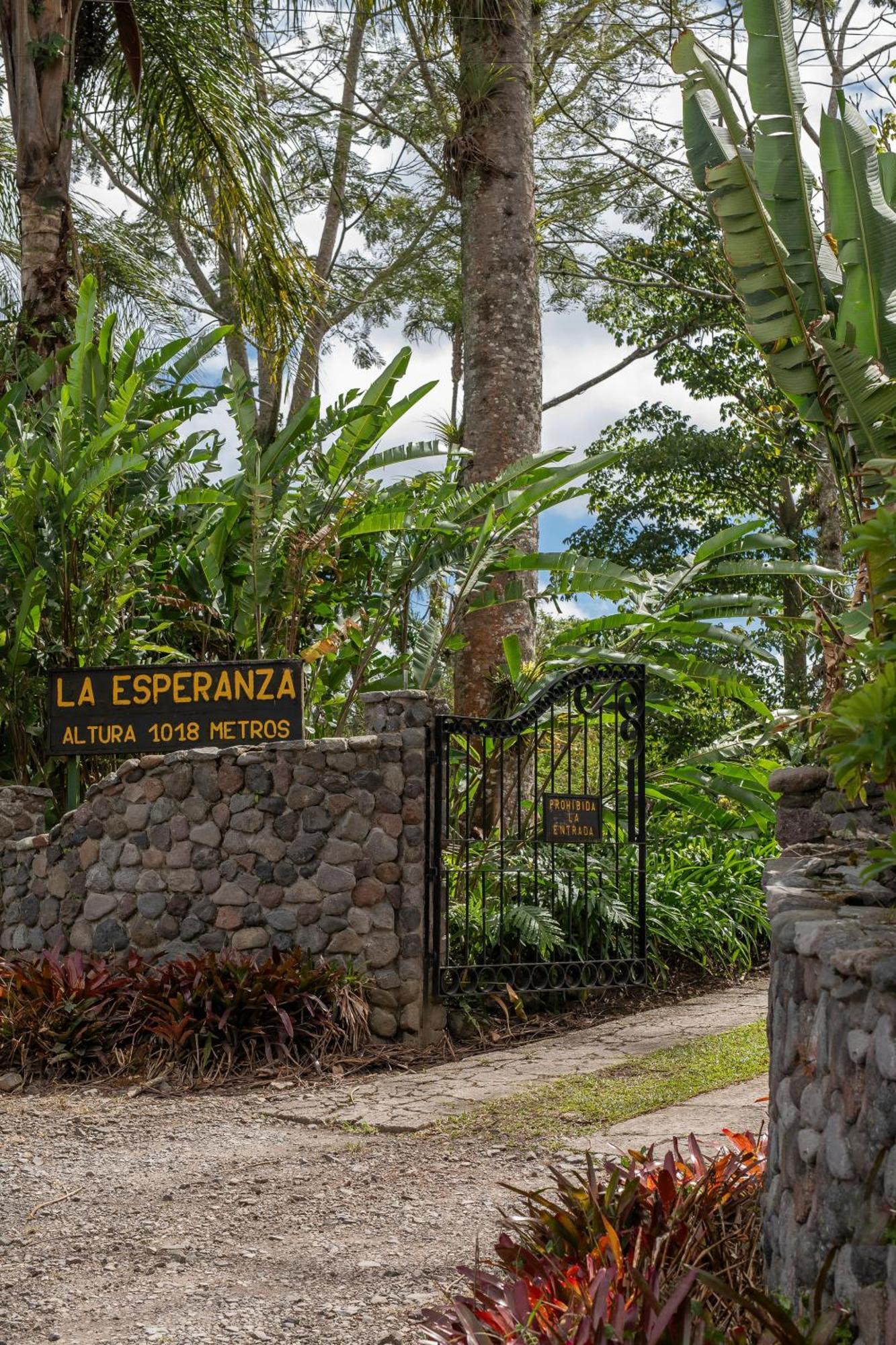 图里亚尔瓦Aquiares Coffee Farm Casa Hacienda La Esperanza住宿加早餐旅馆 外观 照片
