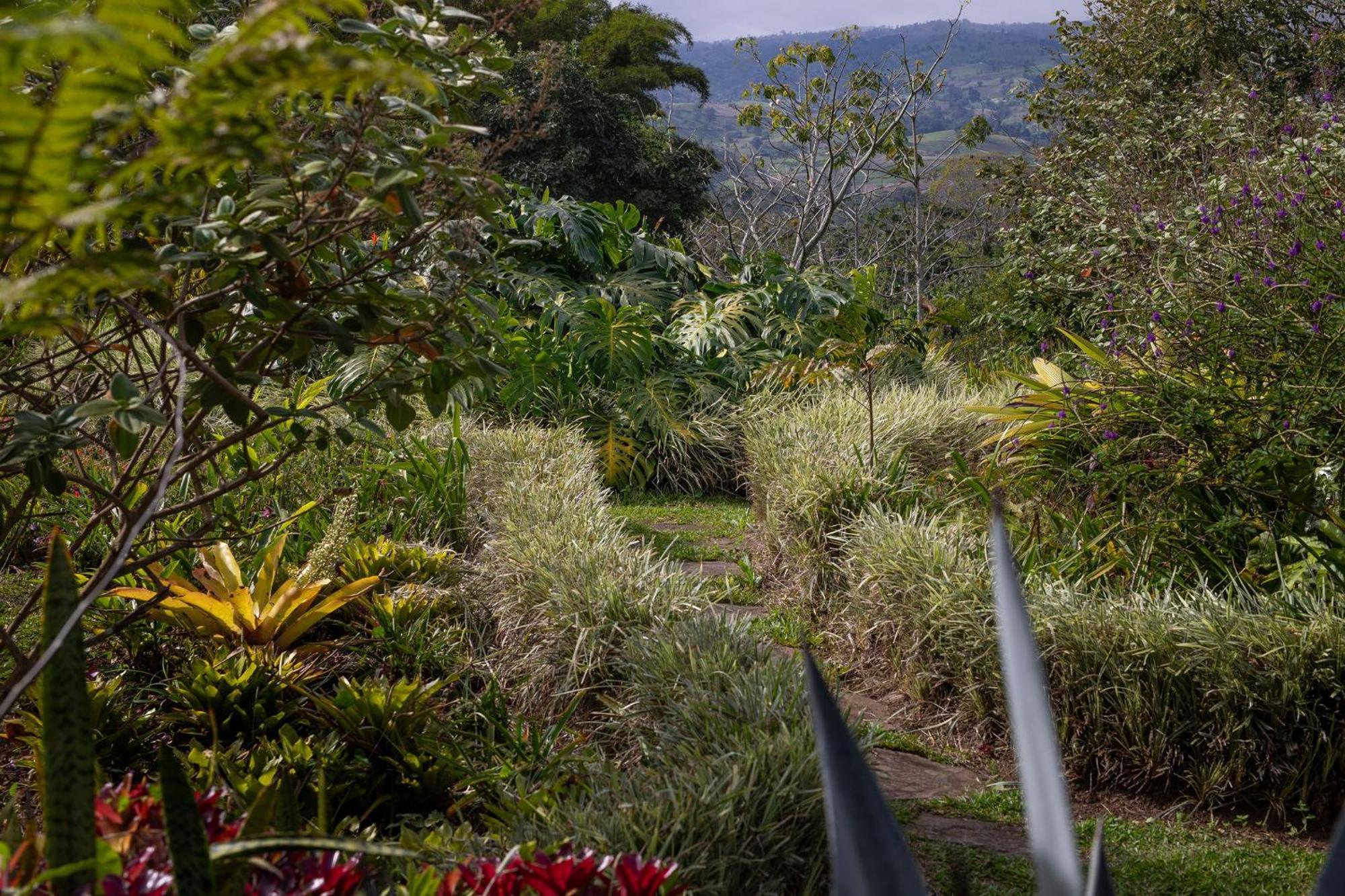 图里亚尔瓦Aquiares Coffee Farm Casa Hacienda La Esperanza住宿加早餐旅馆 外观 照片