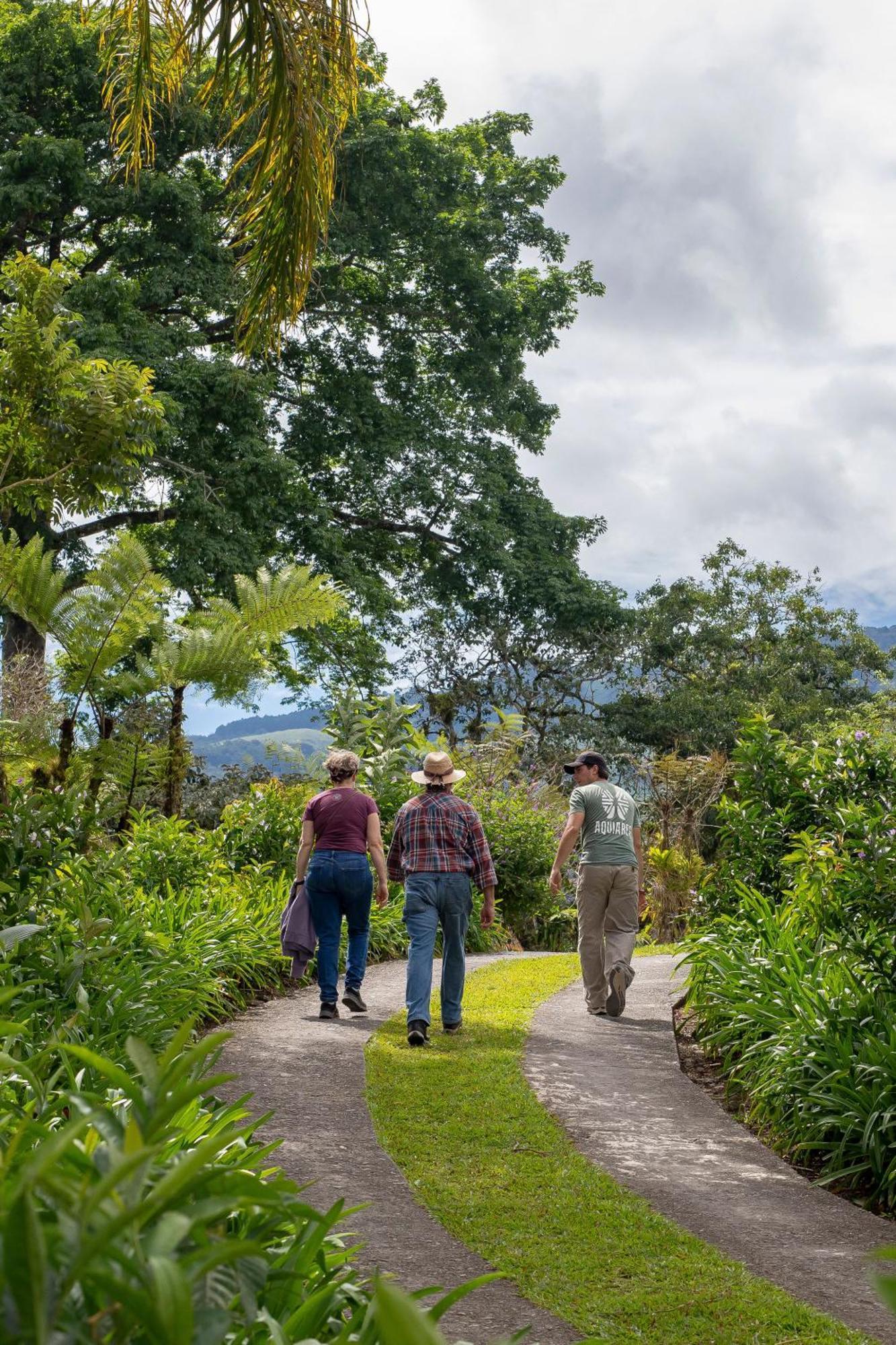 图里亚尔瓦Aquiares Coffee Farm Casa Hacienda La Esperanza住宿加早餐旅馆 外观 照片