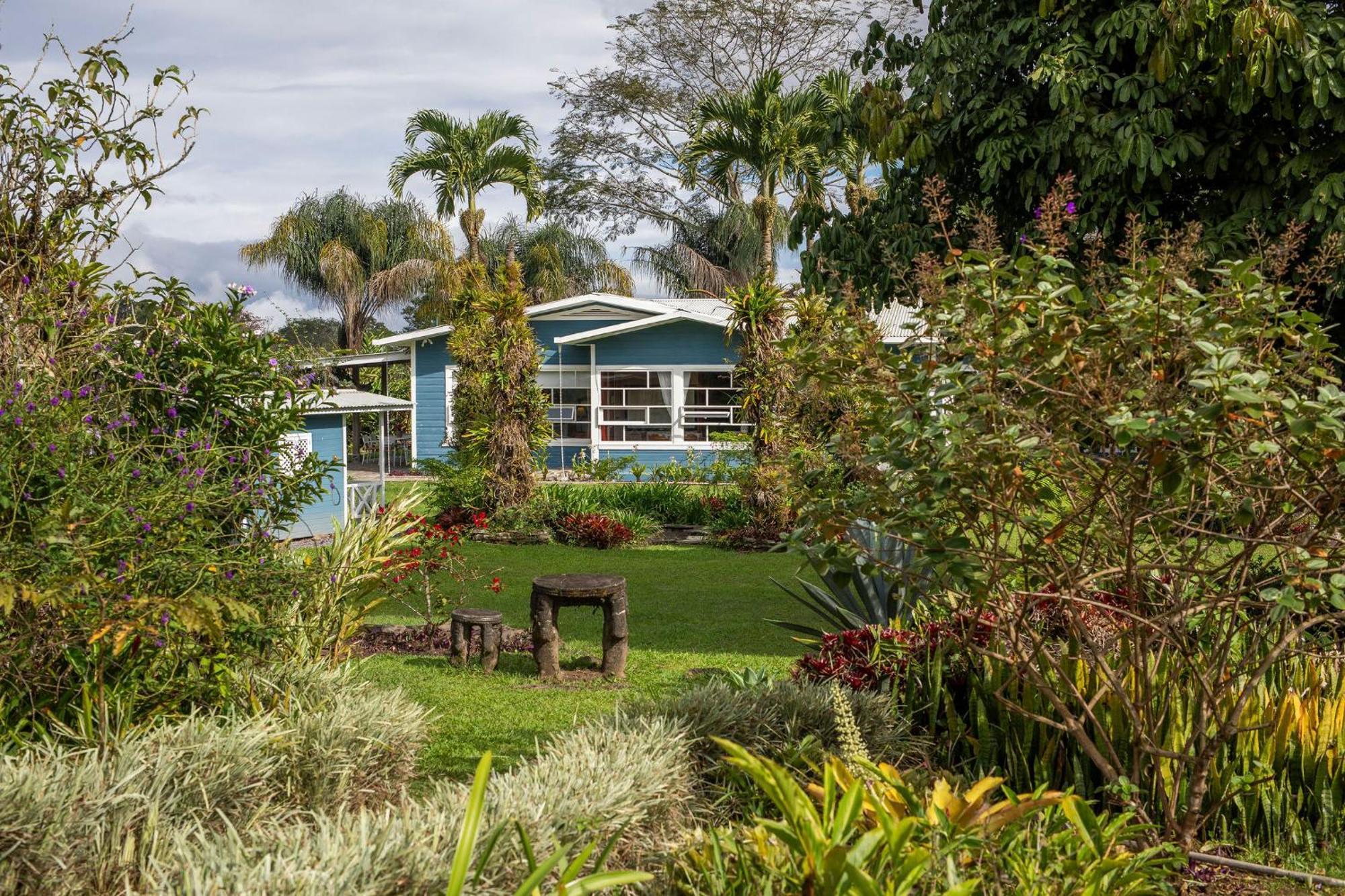 图里亚尔瓦Aquiares Coffee Farm Casa Hacienda La Esperanza住宿加早餐旅馆 外观 照片