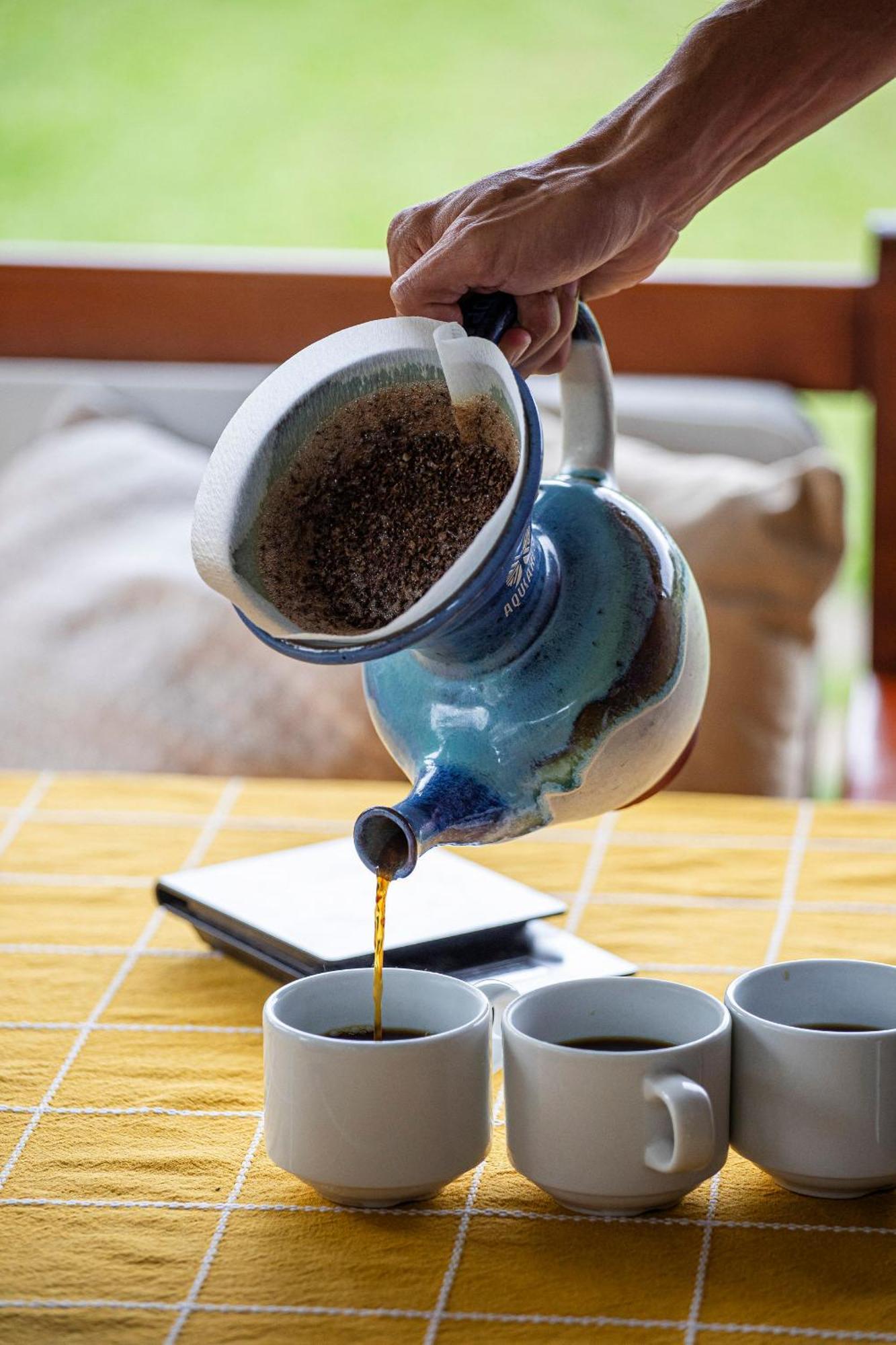 图里亚尔瓦Aquiares Coffee Farm Casa Hacienda La Esperanza住宿加早餐旅馆 外观 照片