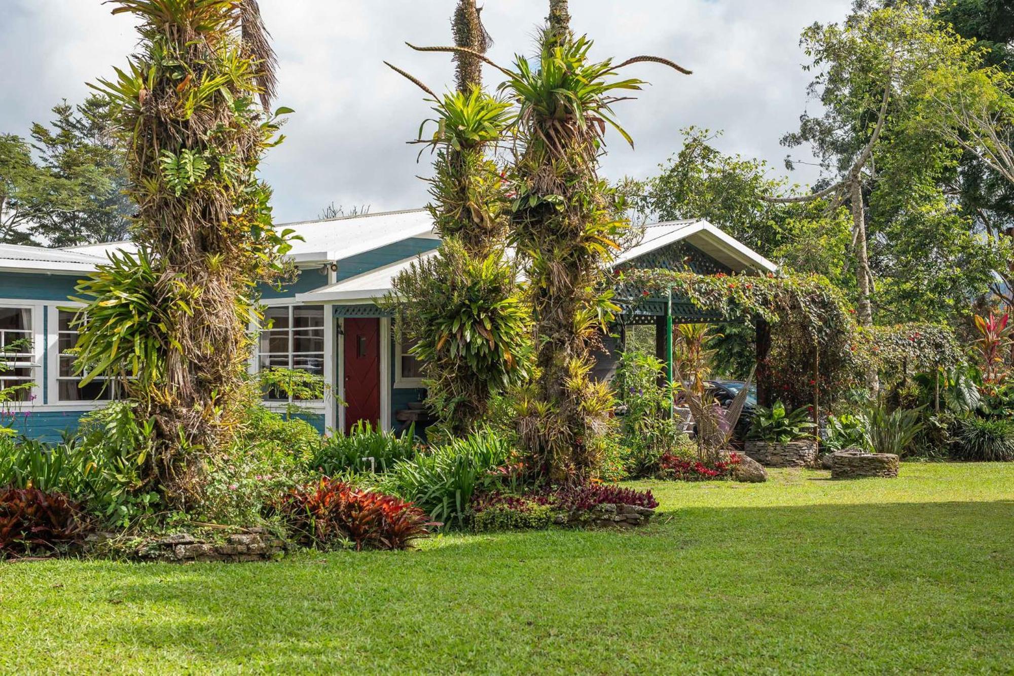 图里亚尔瓦Aquiares Coffee Farm Casa Hacienda La Esperanza住宿加早餐旅馆 外观 照片