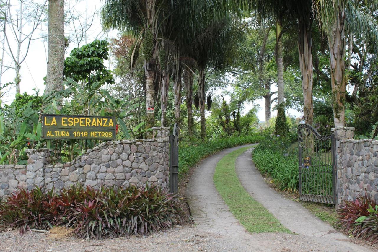 图里亚尔瓦Aquiares Coffee Farm Casa Hacienda La Esperanza住宿加早餐旅馆 外观 照片