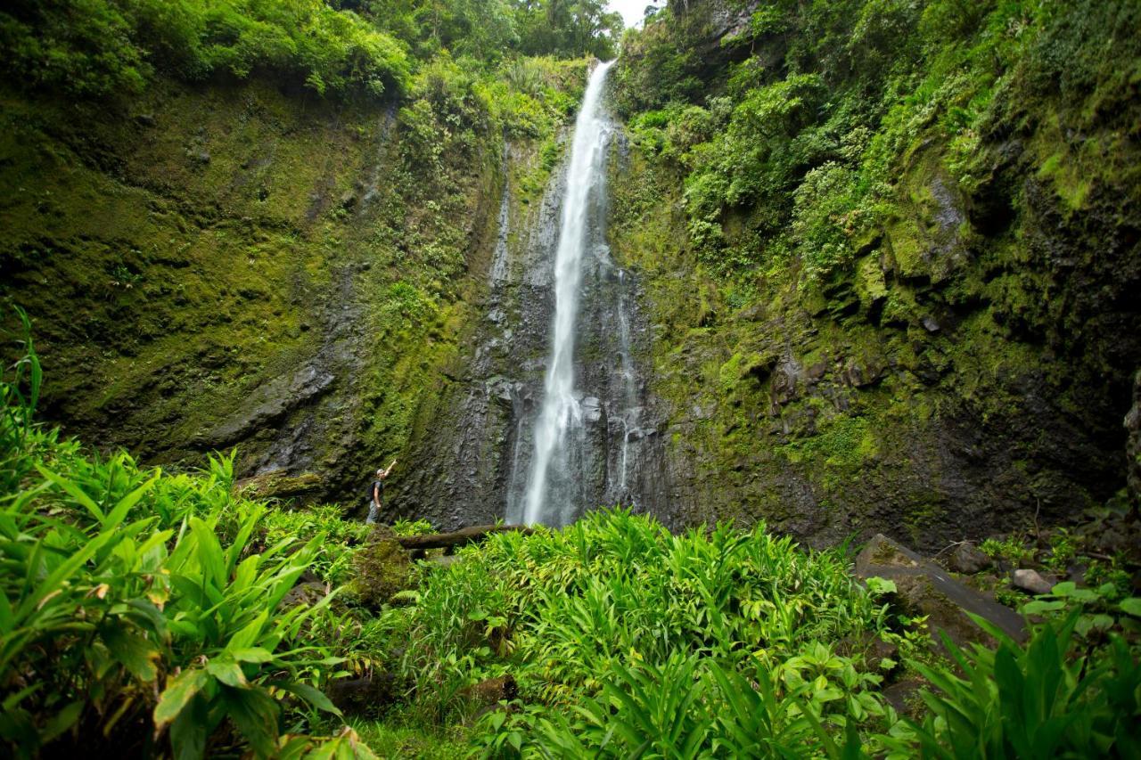 图里亚尔瓦Aquiares Coffee Farm Casa Hacienda La Esperanza住宿加早餐旅馆 外观 照片