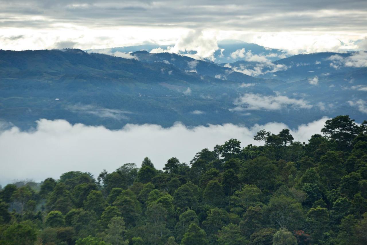 图里亚尔瓦Aquiares Coffee Farm Casa Hacienda La Esperanza住宿加早餐旅馆 外观 照片